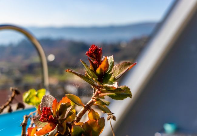 Bungalow em Arcos de Valdevez - Cabana da Sarinha