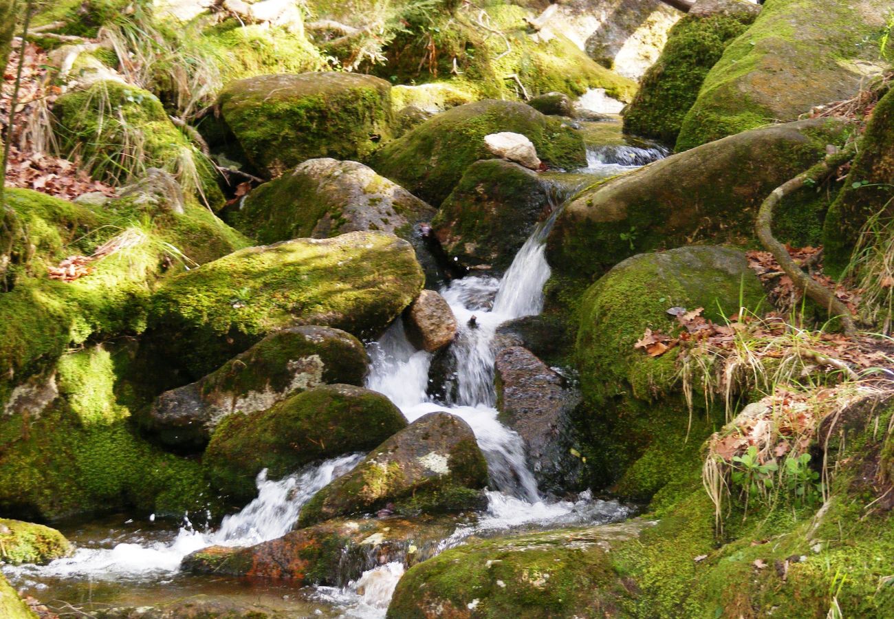 Casa rural em Campo do Gerês - Casa da Roseira T1