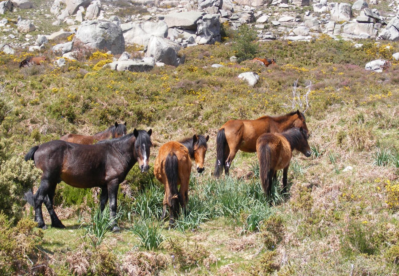 Casa rural em Gerês - Casa da Mineira T1