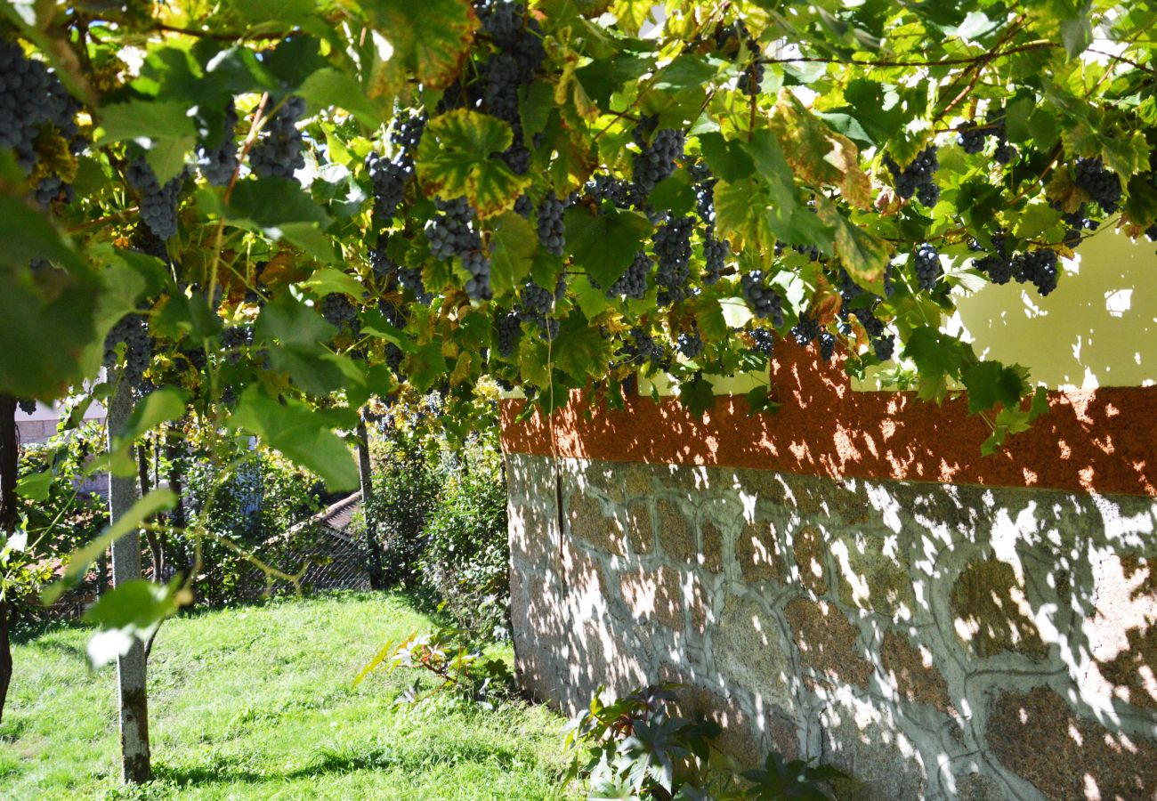 Casa rural em Gerês - Casa da Mineira T1