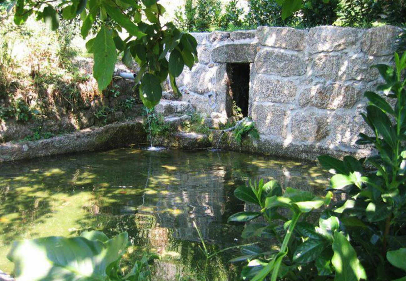 Casa rural em Vieira do Minho - Quinta dos Vieiras