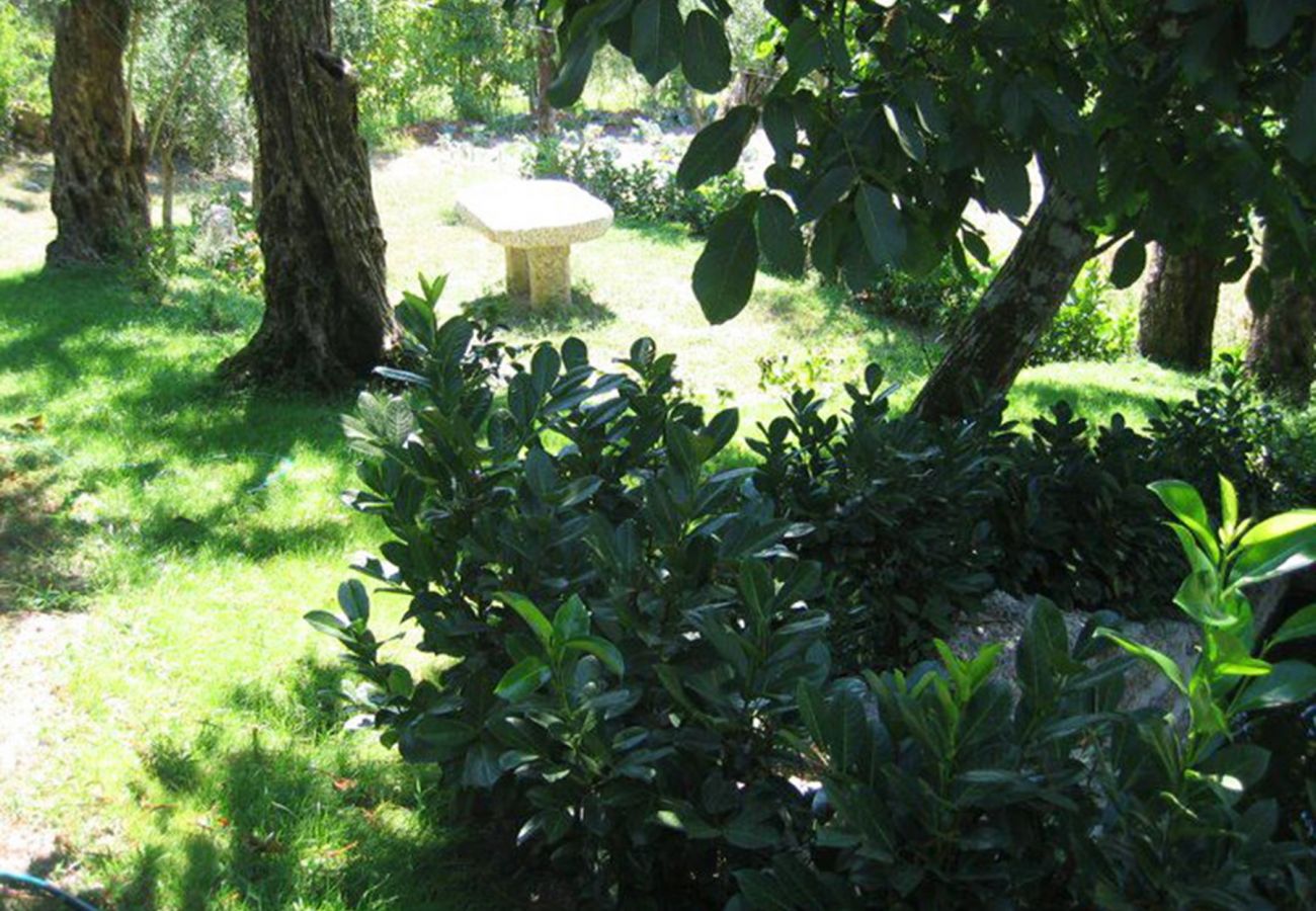 Casa rural em Vieira do Minho - Quinta dos Vieiras