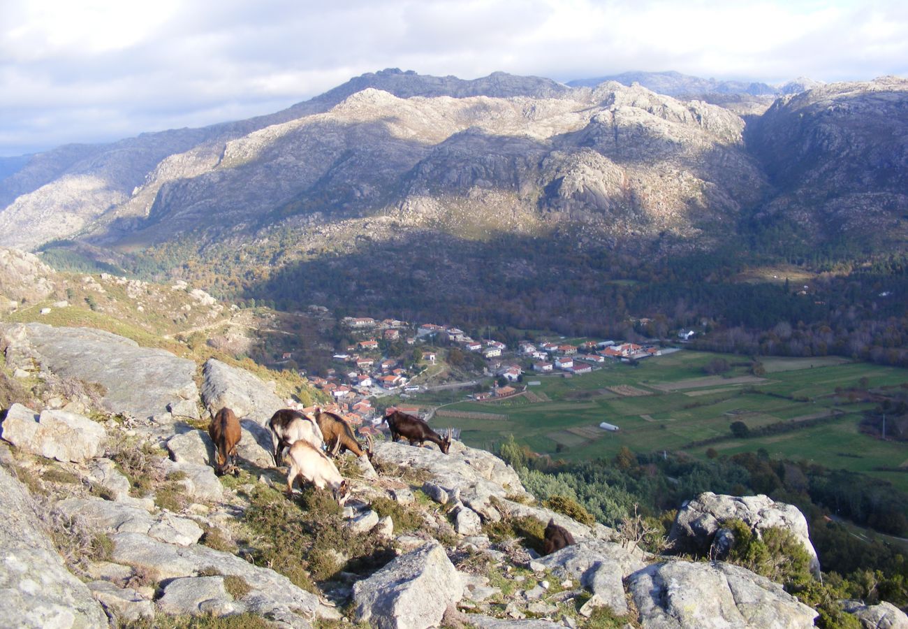 Casa em Campo do Gerês - Casa da Parede Nova