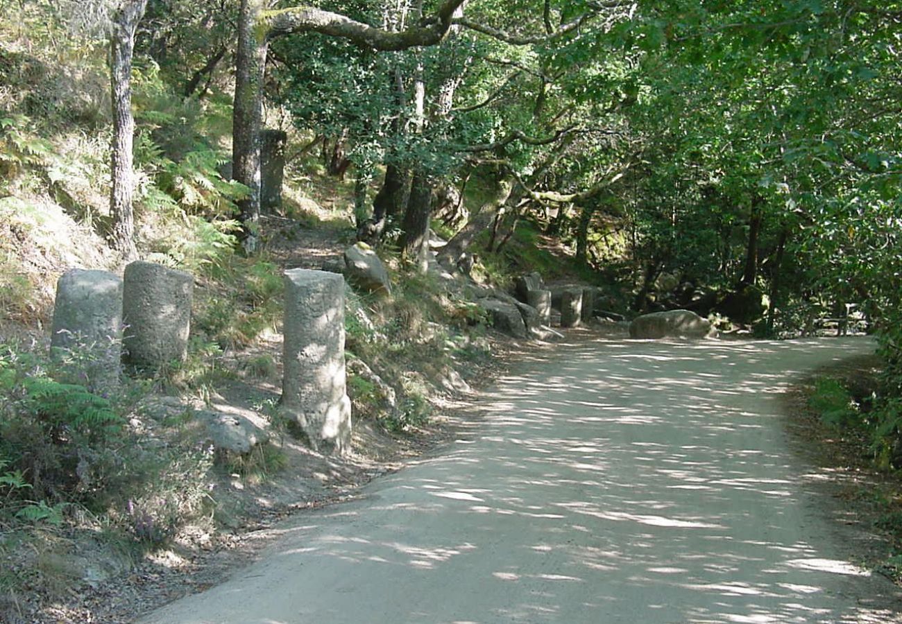 Casa em Campo do Gerês - Casa da Parede Nova