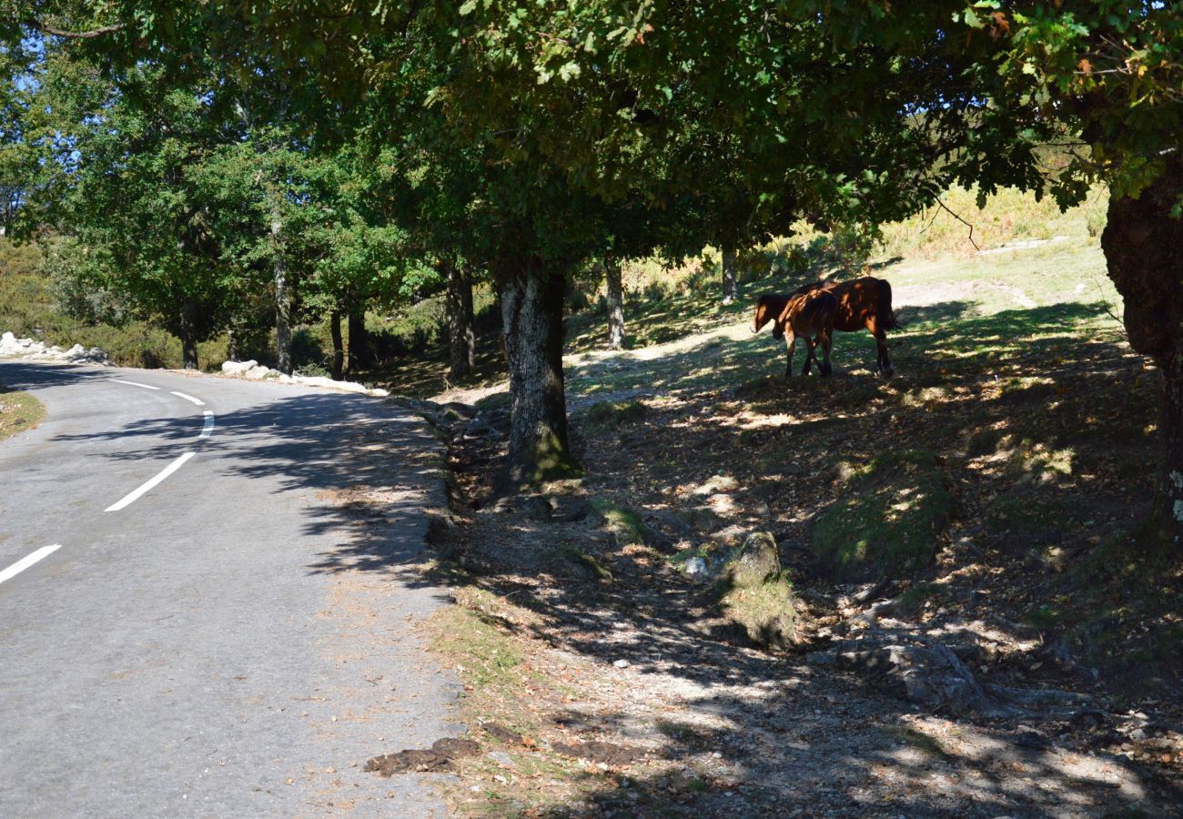 Casa rural em Gerês - Casa dos Bernardos T2 - Piso 1