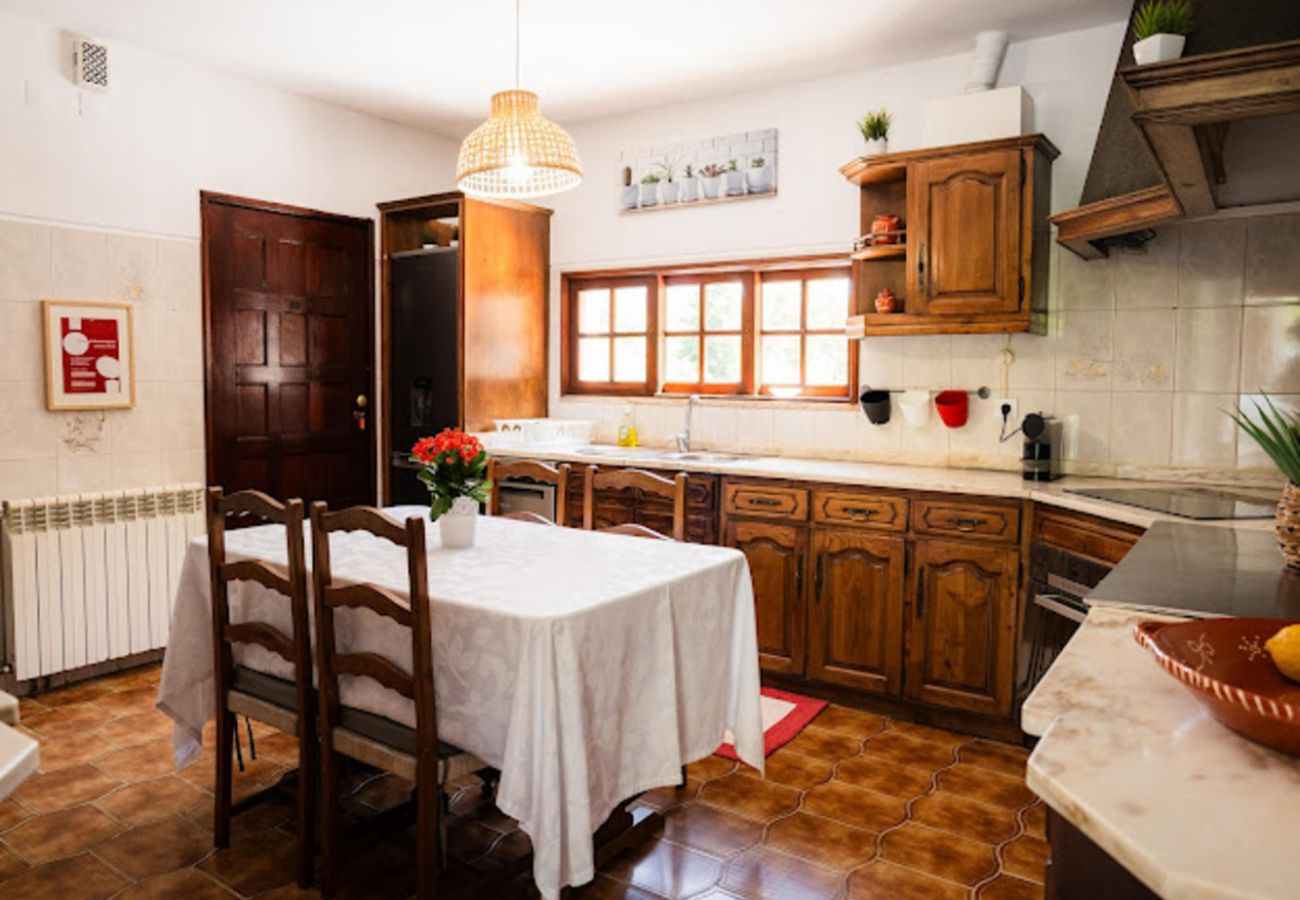 Casa em Campo do Gerês - Casa Montanha Ger&amp;amp;ecirc;s