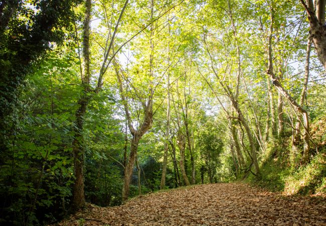 Estúdio em Gerês - Estúdio do Abrigo do Hotel Quinta do Rio Gerês Estúdio em Gerês - Estúdio do Abrigo do Hotel Quinta do Rio Gerês