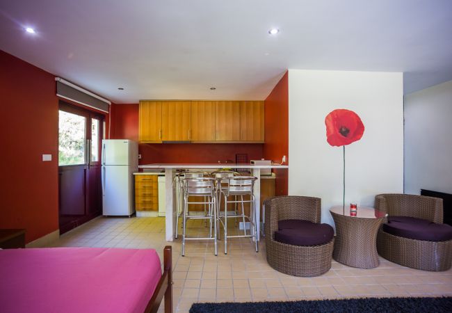 Estúdio em Gerês - Estúdio do Abrigo do Hotel Quinta do Rio Gerês Estúdio em Gerês - Estúdio do Abrigo do Hotel Quinta do Rio Gerês