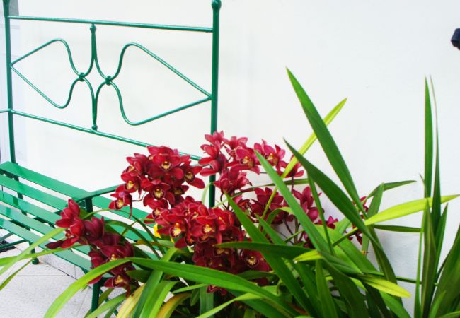 Apartamento em Gerês - Casa do Eido T1 Apartamento em Gerês - Casa do Eido T1