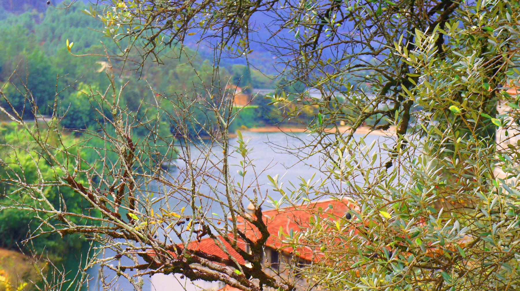 Casa Alda T3 no Gerês  Casas no Gerês para Alugar