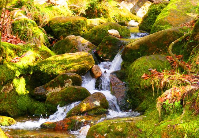 Quarto em Gerês - Hotel S. Bento**** Suíte Familiar Quarto em Gerês - Hotel S. Bento**** Suíte Familiar
