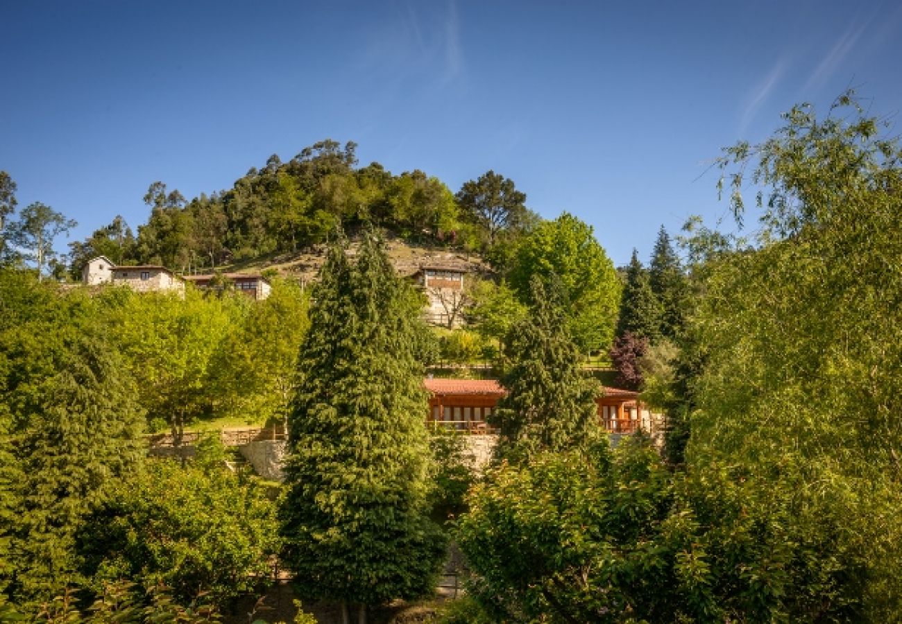 Villa em Gerês - Casa da Cascata - Villas do Agrinho