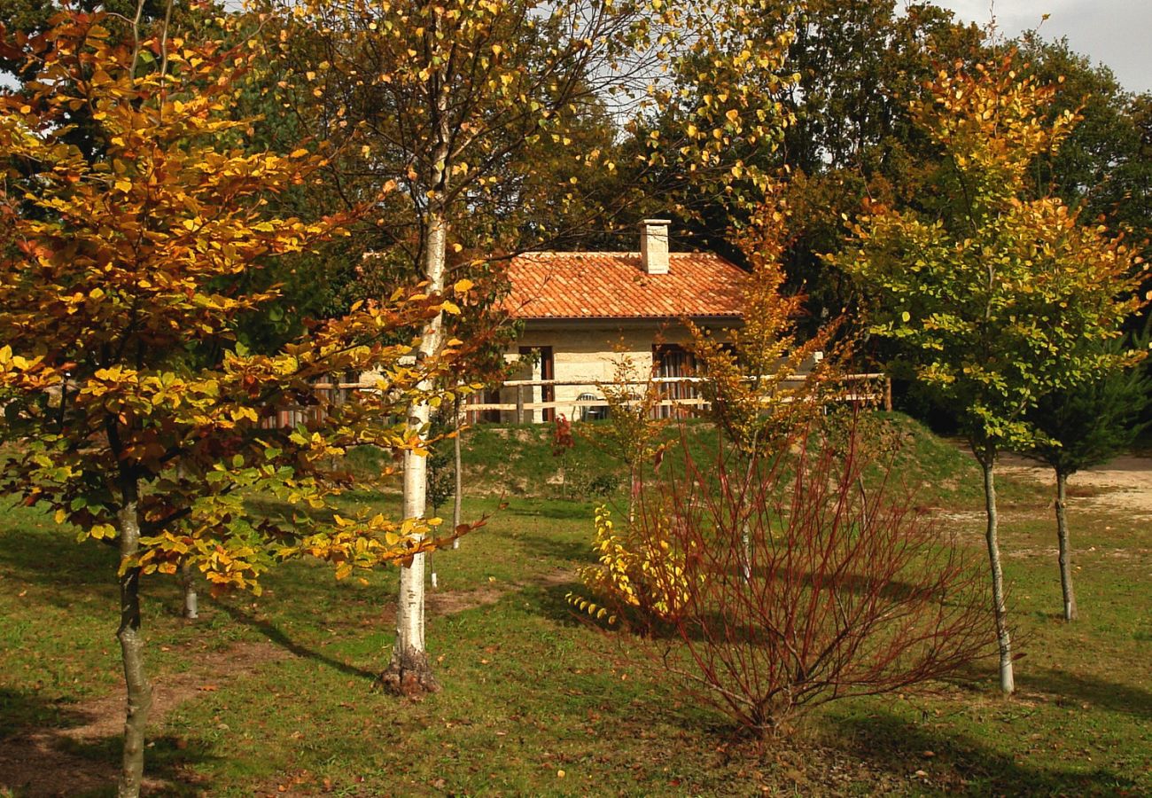 Bungalow em Campo do Gerês - Bungalows Serra do Geres