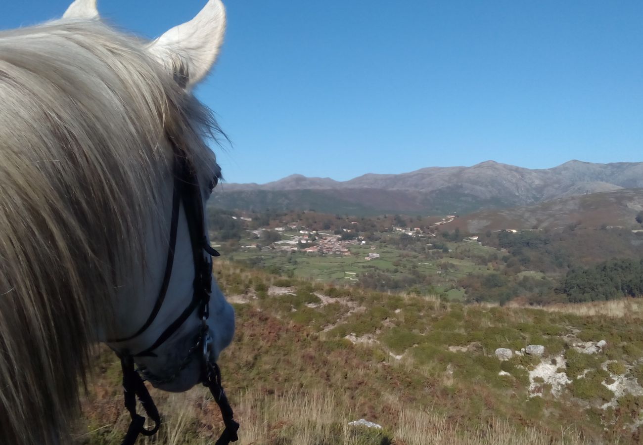 Villa em Gerês - Villa de Pedra - Quinta dos Carqueijais