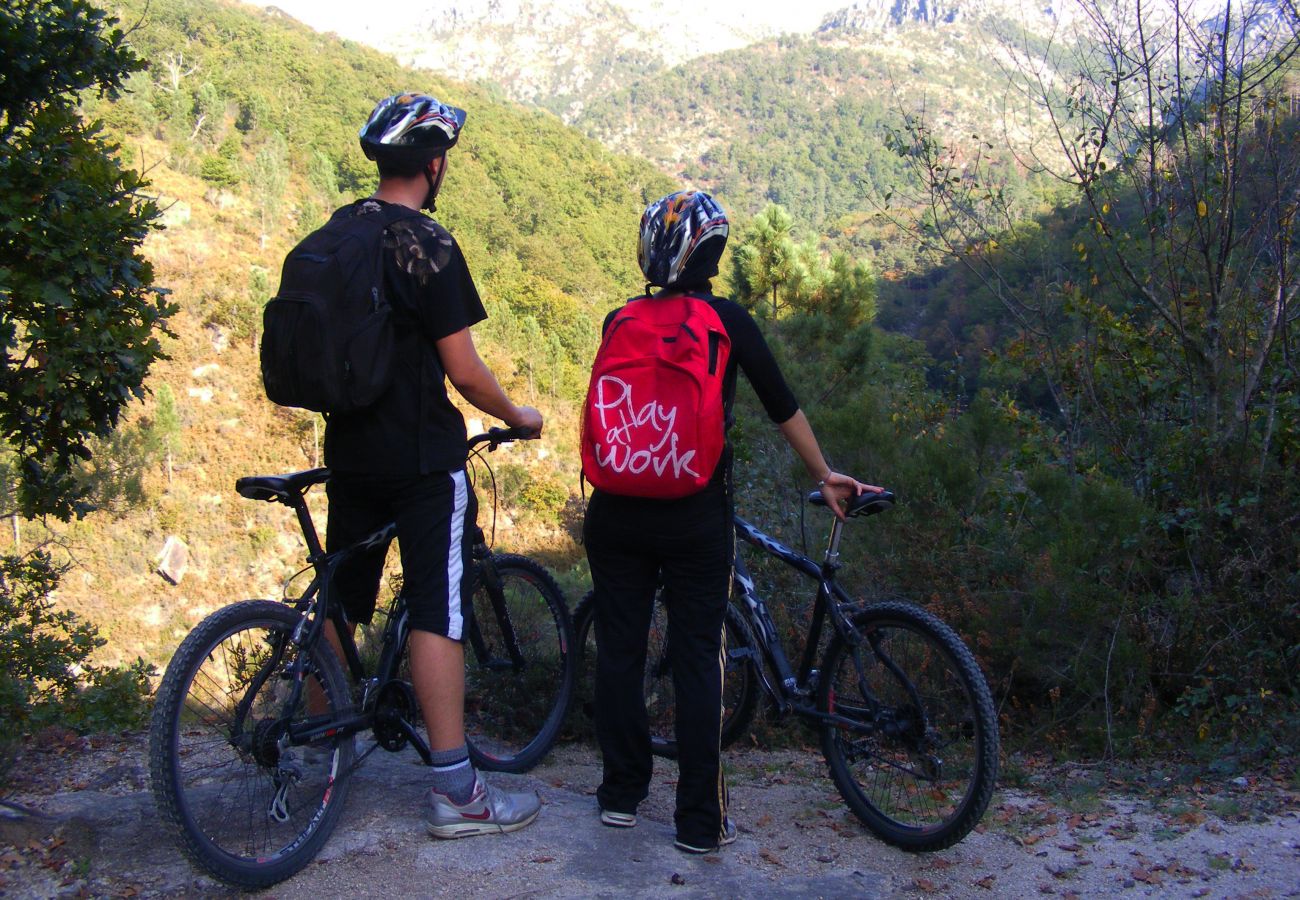 Villa em Gerês - Villa da Árvore - Quinta dos Carqueijais