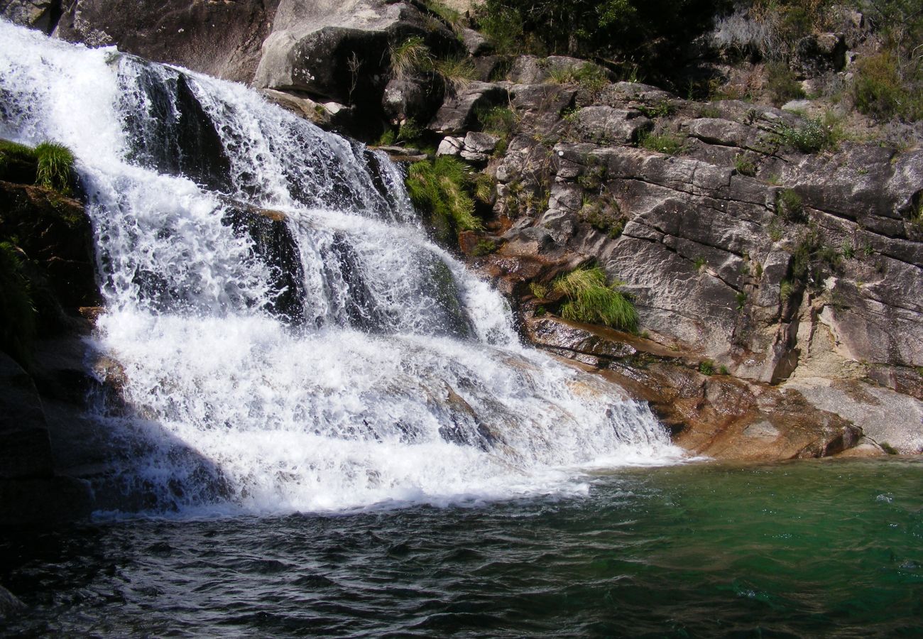 Villa em Gerês - Villa da Árvore - Quinta dos Carqueijais