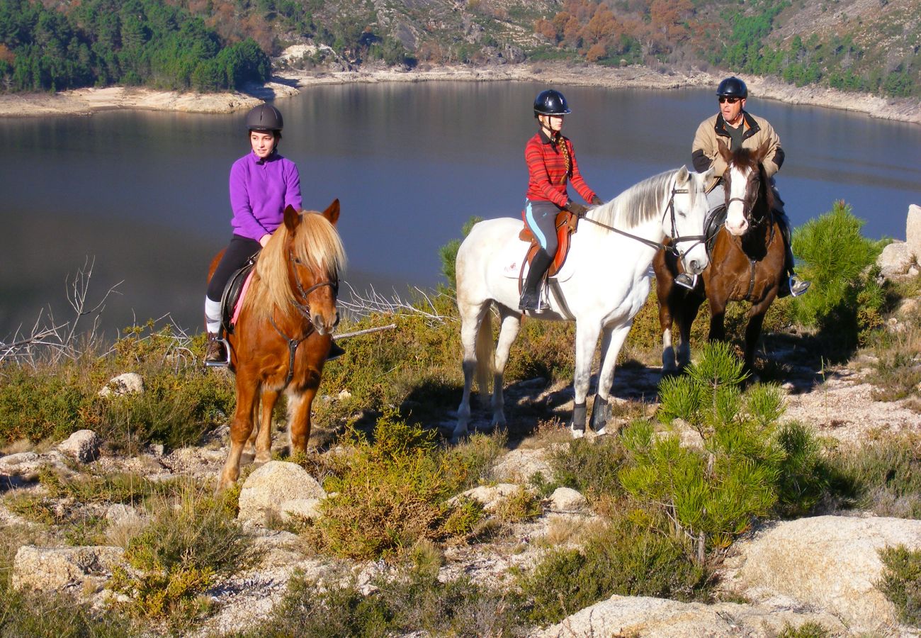 Villa em Gerês - Villa das Oliveiras - Quinta dos Carqueijais