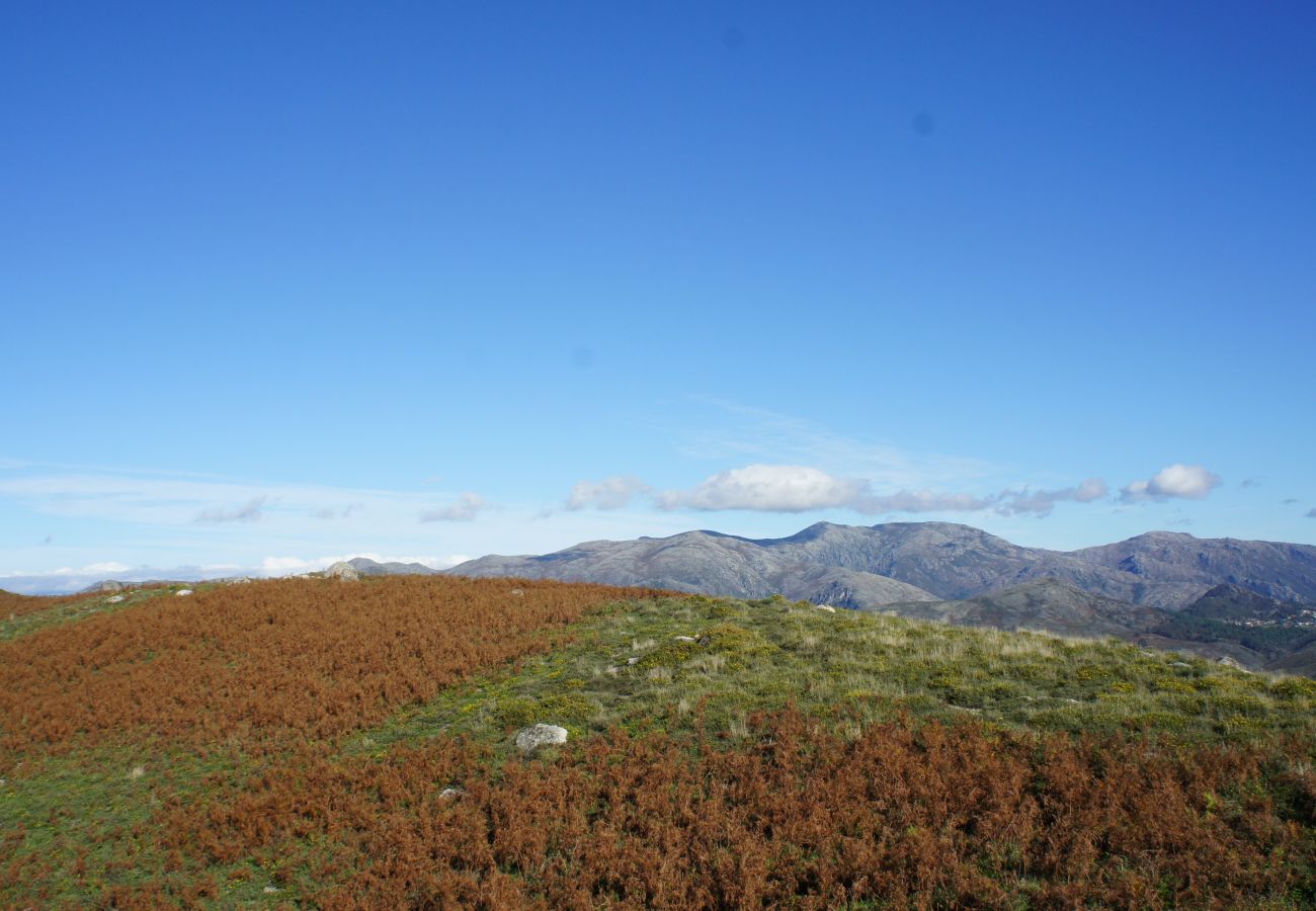 Villa em Gerês - Villa dos Plátanos - Quinta dos Carqueijais