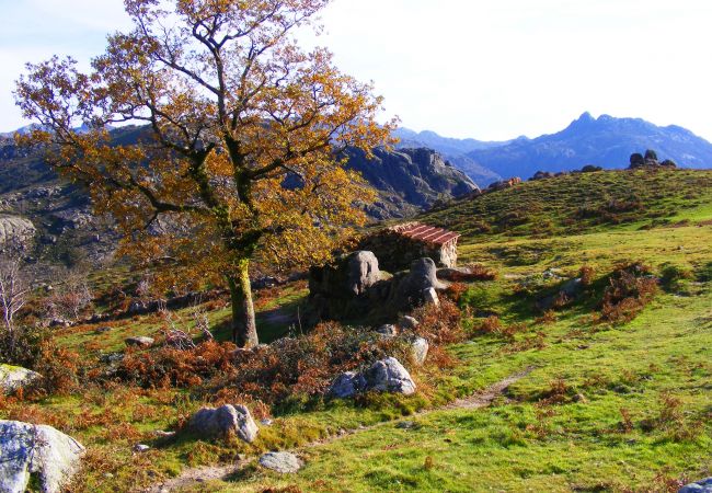 Bungalow em Gerês - Cabaninha da Ermida - Casa do Criado