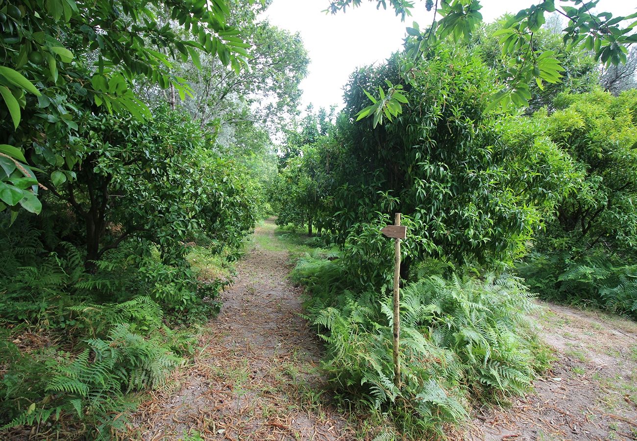 Casa rural em Amares - Casa dos Cereais - Recantos na Portela