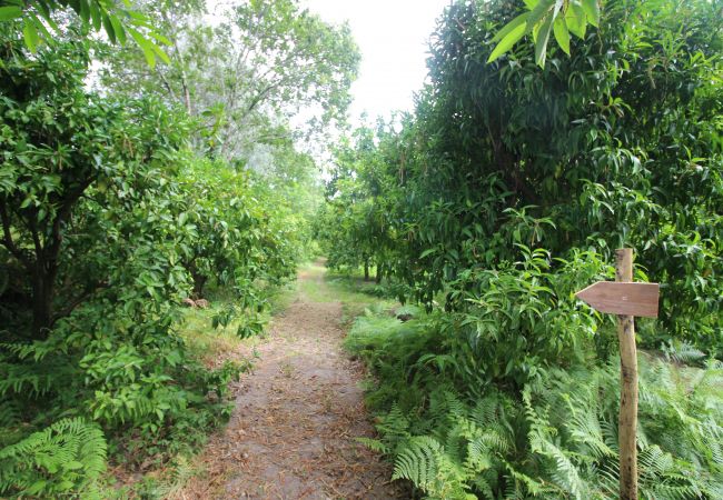 Casa rural em Amares - Casa da Lavoura - Recantos na Portela Casa rural em Amares - Casa da Lavoura - Recantos na Portela