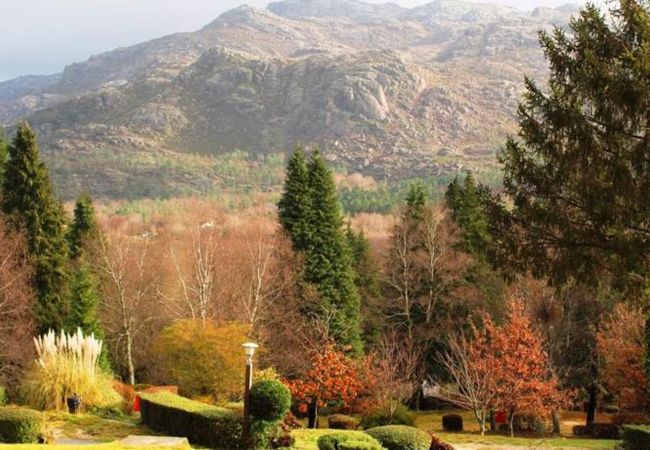 Quarto em Campo do Gerês - HI Gerês - Pousada da Juventude - Quarto Twin Quarto em Campo do Gerês - HI Gerês - Pousada da Juventude - Quarto Twin
