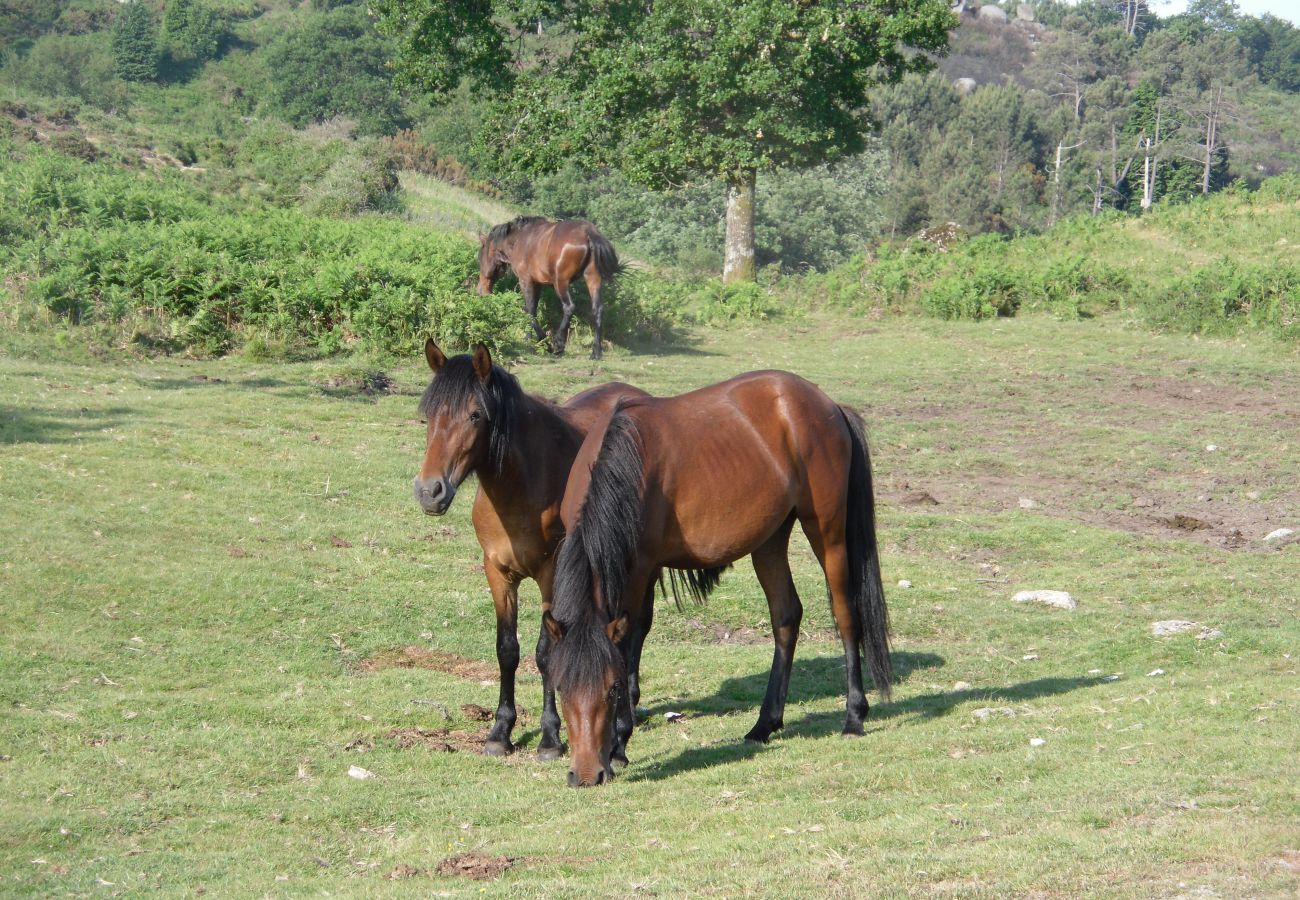 Casa rural em Gerês - Casa Campos