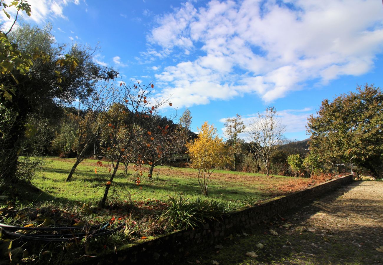 Casa em Terras de Bouro - Casa de Moure
