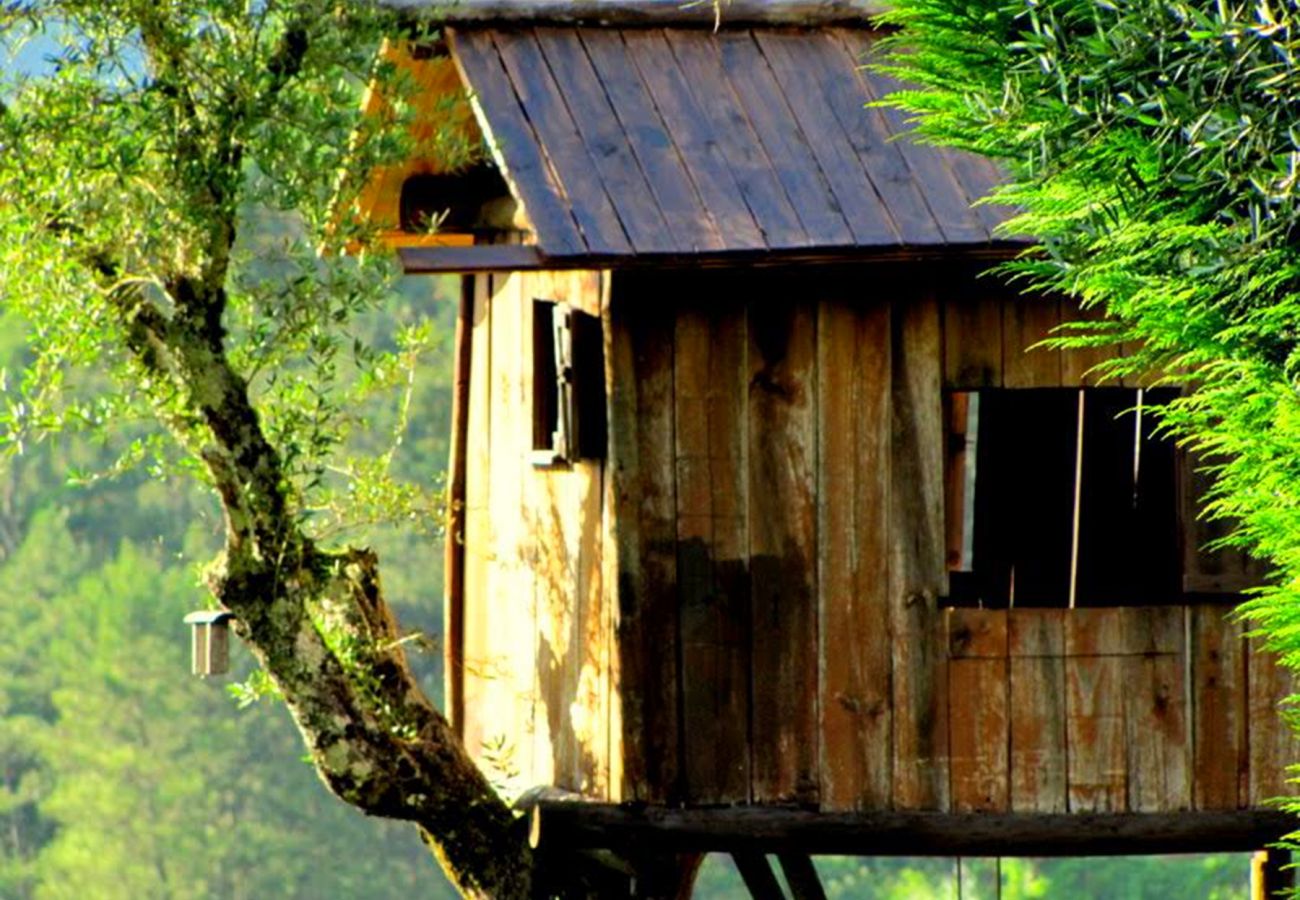 Casa rural em Vieira do Minho - Country House Gerês