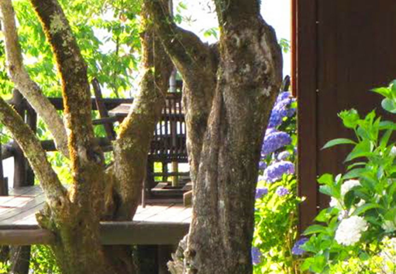 Casa rural em Vieira do Minho - Country House Gerês