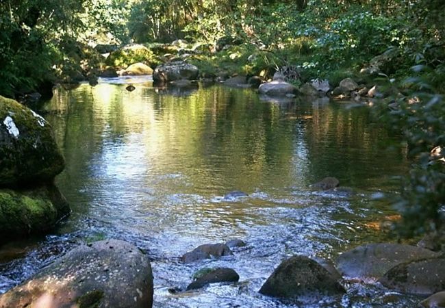 Casa rural em Sistelo - Casa da Avó Sistelo Casa rural em Sistelo - Casa da Avó Sistelo