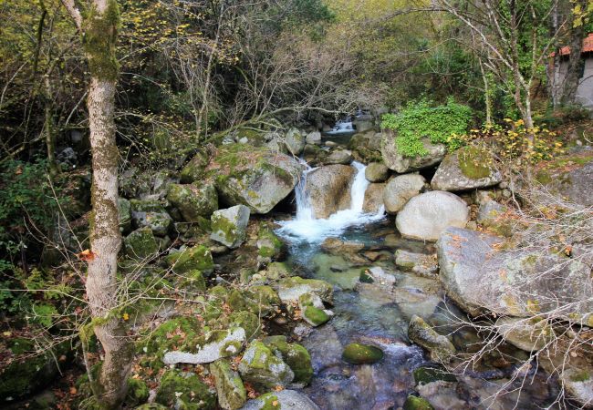 Quarto em Gerês - Quarto Twin Deluxe - Quinta da Carvalha Quarto em Gerês - Quarto Twin Deluxe - Quinta da Carvalha