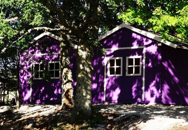 Bungalow em Montalegre - Yurt da Mongólia - Nomad Planet Bungalow em Montalegre - Yurt da Mongólia - Nomad Planet
