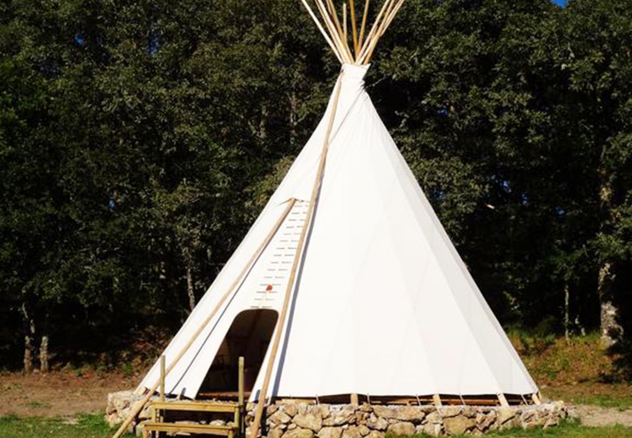 Bungalow em Montalegre - Yurt da Mongólia - Nomad Planet