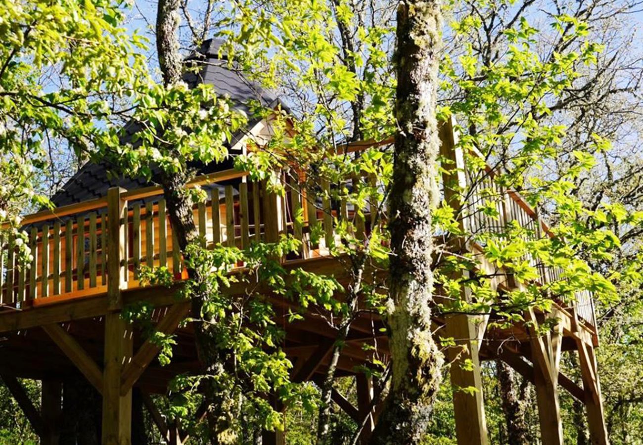 Bungalow em Montalegre - Bungalow Casa na Árvore - Nomad Planet