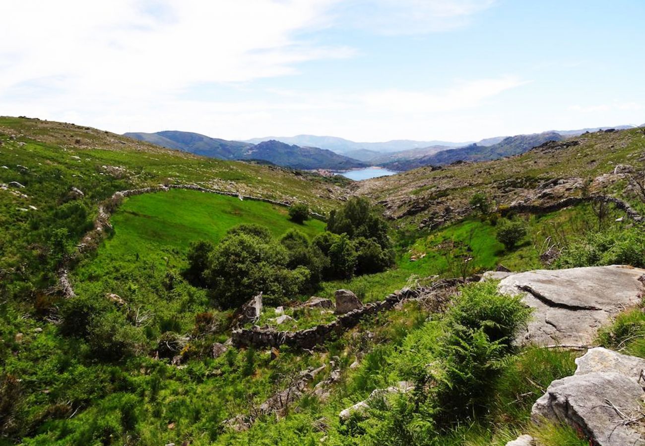 Bungalow em Montalegre - Bungalow Casa na Árvore - Nomad Planet