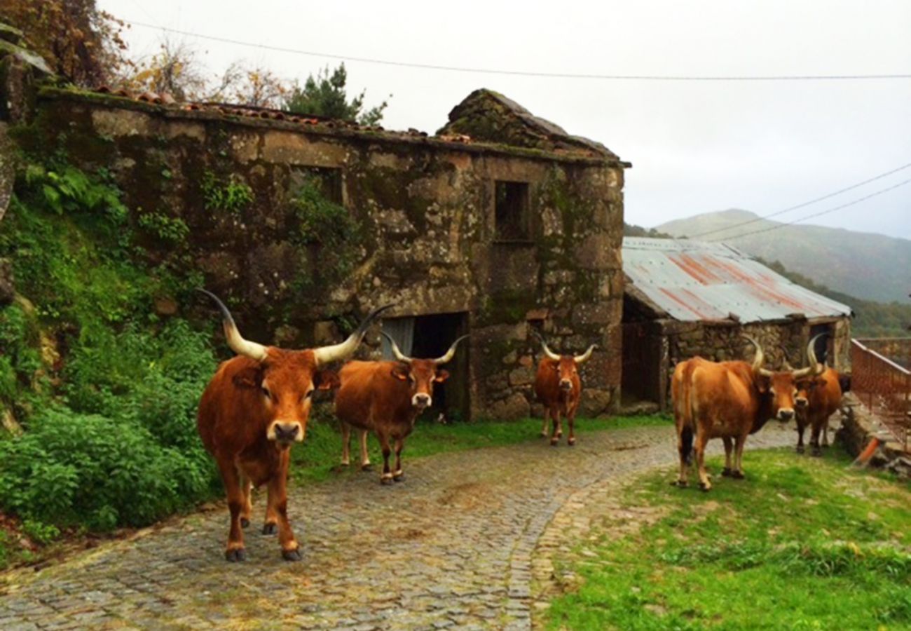 Casa rural em Arcos de Valdevez - Casa do Ramiscal - Eido do Pomar