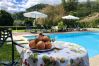 Casa rural em Arcos de Valdevez - Casa do Pomar Vista Piscina - Eido do Pomar Casa rural em Arcos de Valdevez - Casa do Pomar Vista Piscina - Eido do Pomar
