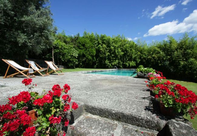 Casa rural em Póvoa de Lanhoso - Casa de Alfena