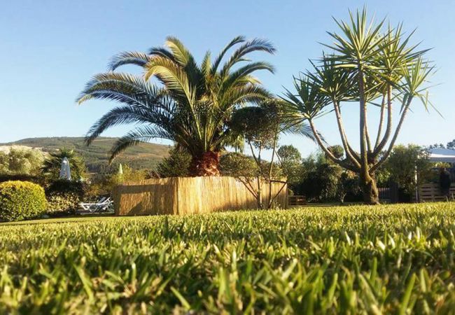 Quarto em Póvoa de Lanhoso - Quarto Superior com Hidromassagem - DM Turismo Rur Quarto em Póvoa de Lanhoso - Quarto Superior com Hidromassagem - DM Turismo Rur