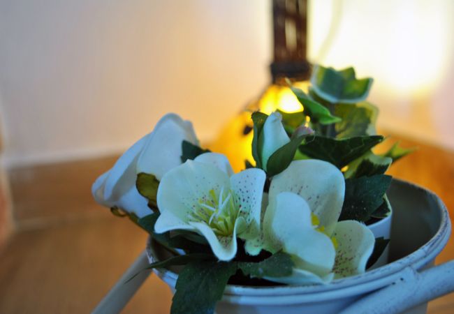 Casa rural em Vila Verde - Casa da Nóbrega Casa rural em Vila Verde - Casa da Nóbrega