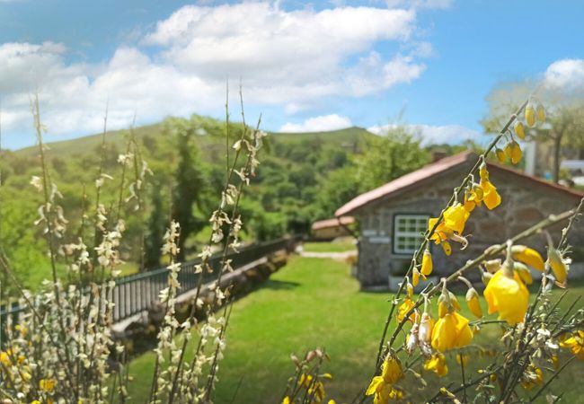 Casa rural em Vila Verde - Casa da Nóbrega