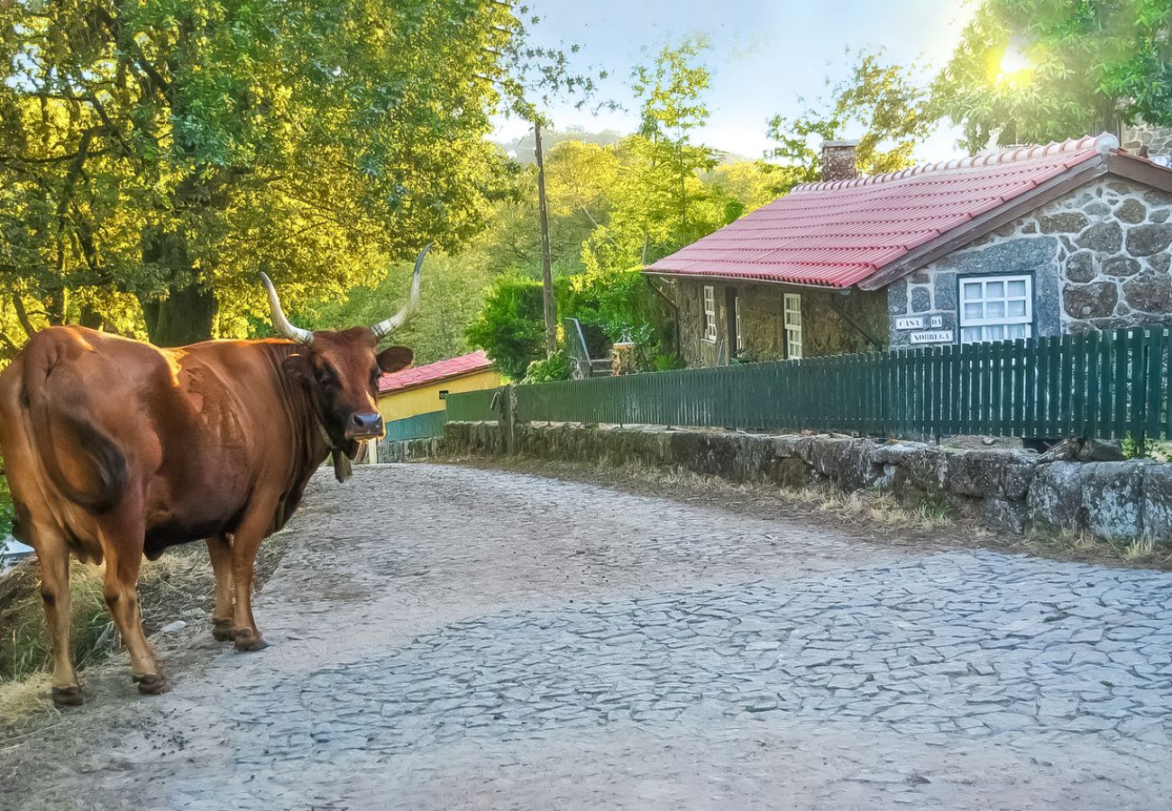 Casa rural em Vila Verde - Casa da Nóbrega