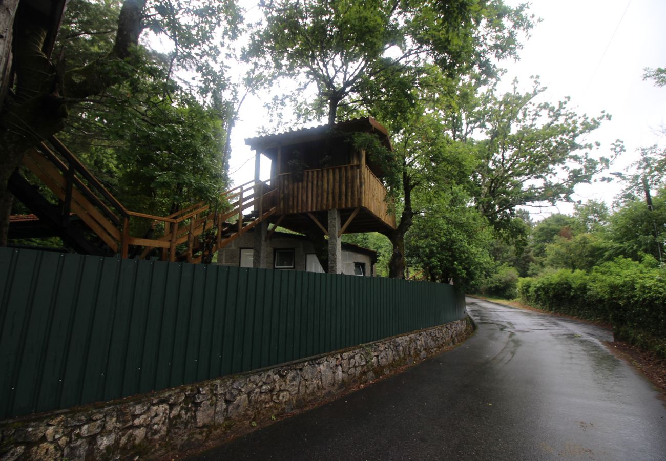 Bungalow em Campo do Gerês - Bungalow António - Casa da Árvore