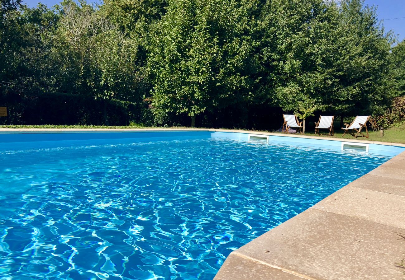 Bungalow em Arcos de Valdevez - Casa da Árvore - Quinta Lamosa