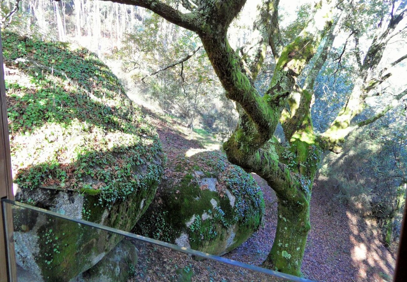 Villa em Vieira do Minho - Oak Villa I