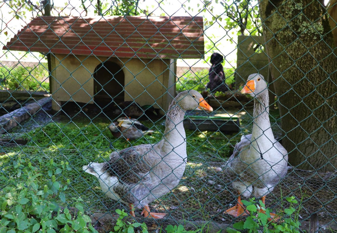 Alojamento de turismo rural em Arcos de Valdevez - Casinha da Bica - Quinta da Breia