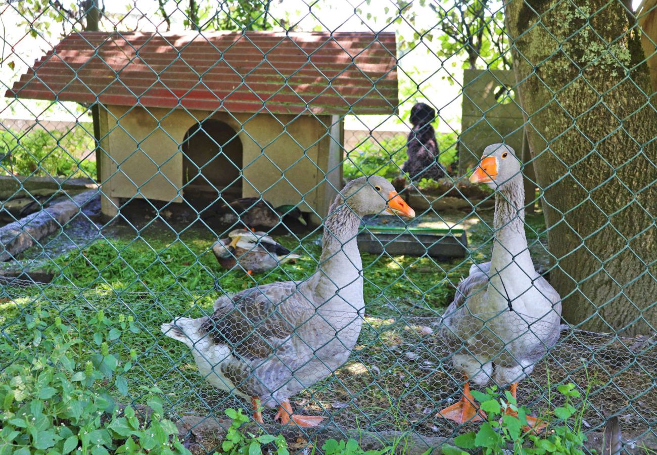 Alojamento de turismo rural em Arcos de Valdevez - Casinha do Terraço - Quinta da Breia