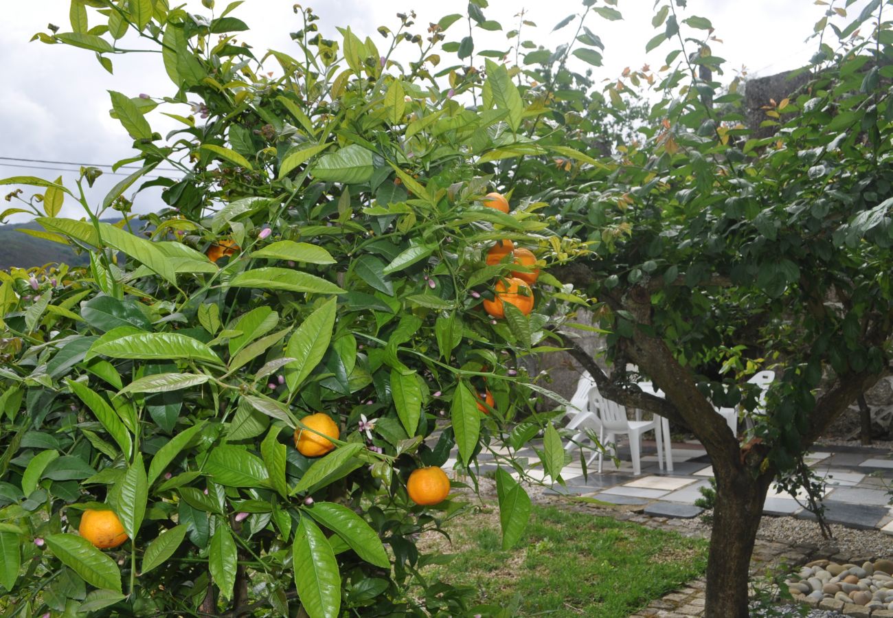 Casa rural em Terras de Bouro - Casa Pereira