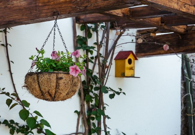 Casa em Vila Verde - Quinta da Ponte Casa em Vila Verde - Quinta da Ponte